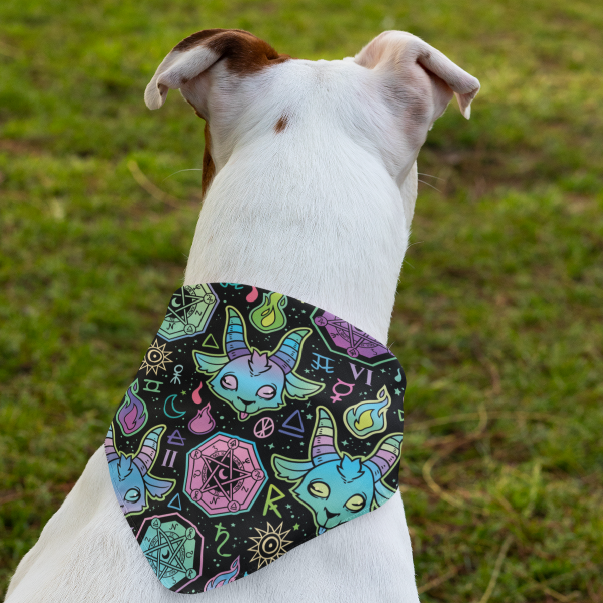 Wu tang hot sale dog bandana