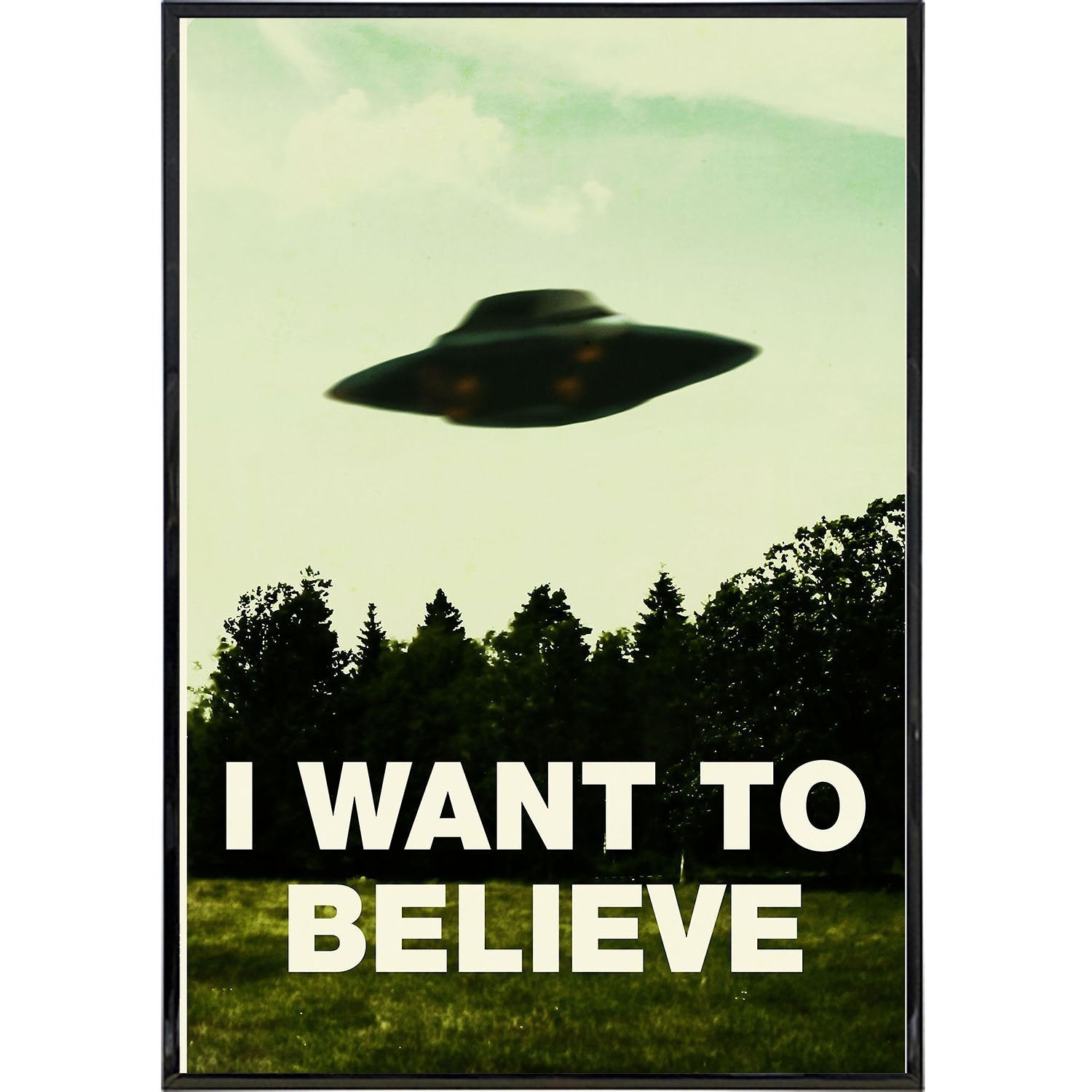 i want to believe.jpeg