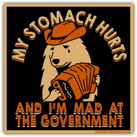 My Stomach Hurts and I'm Mad at the Government Car Magnet - The Original Underground