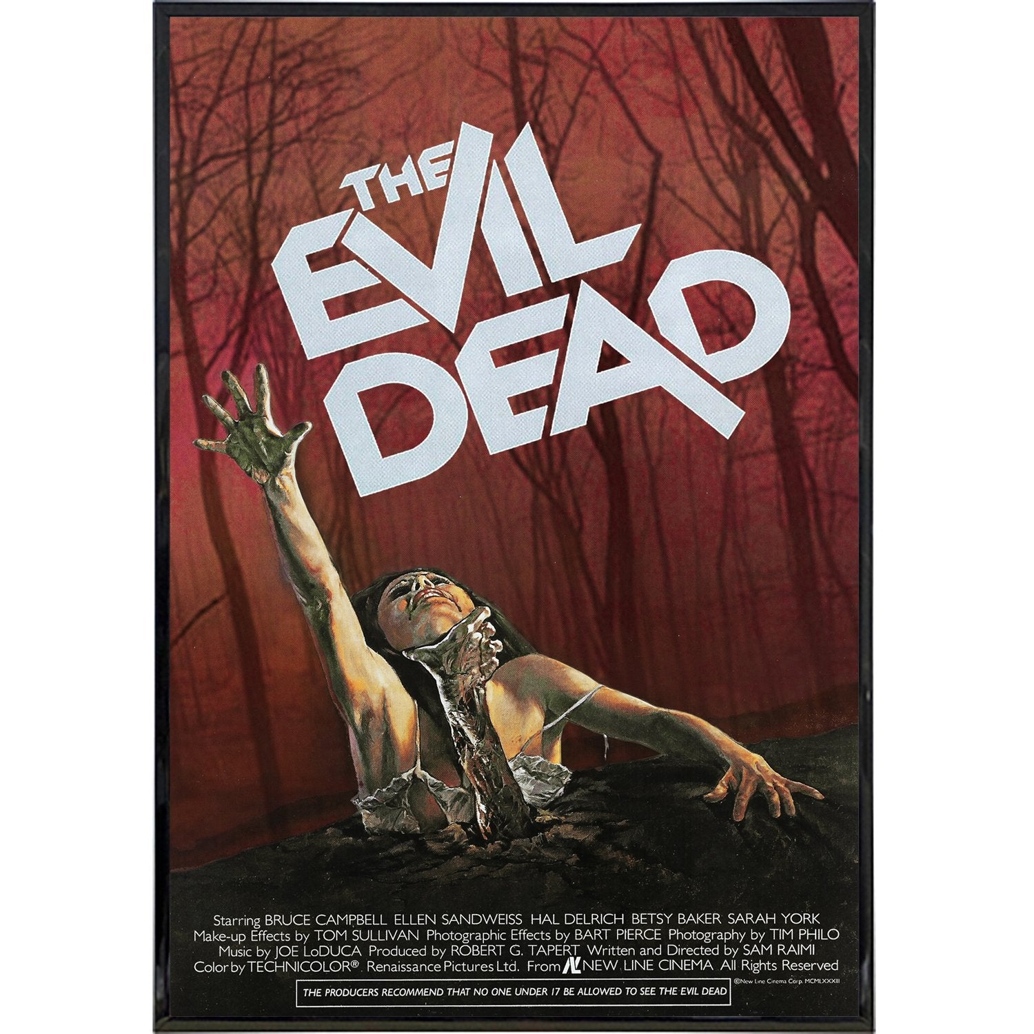 What chainsaw did that movie use? – Evil Dead Series (1981